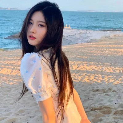 机智的公主殿下